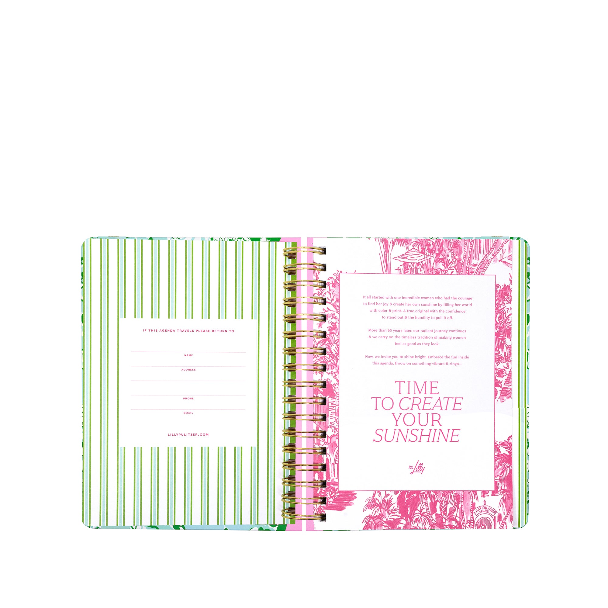LARGE  17" MONTH AGENDA |  MINT CONDITION BURST OF JOY