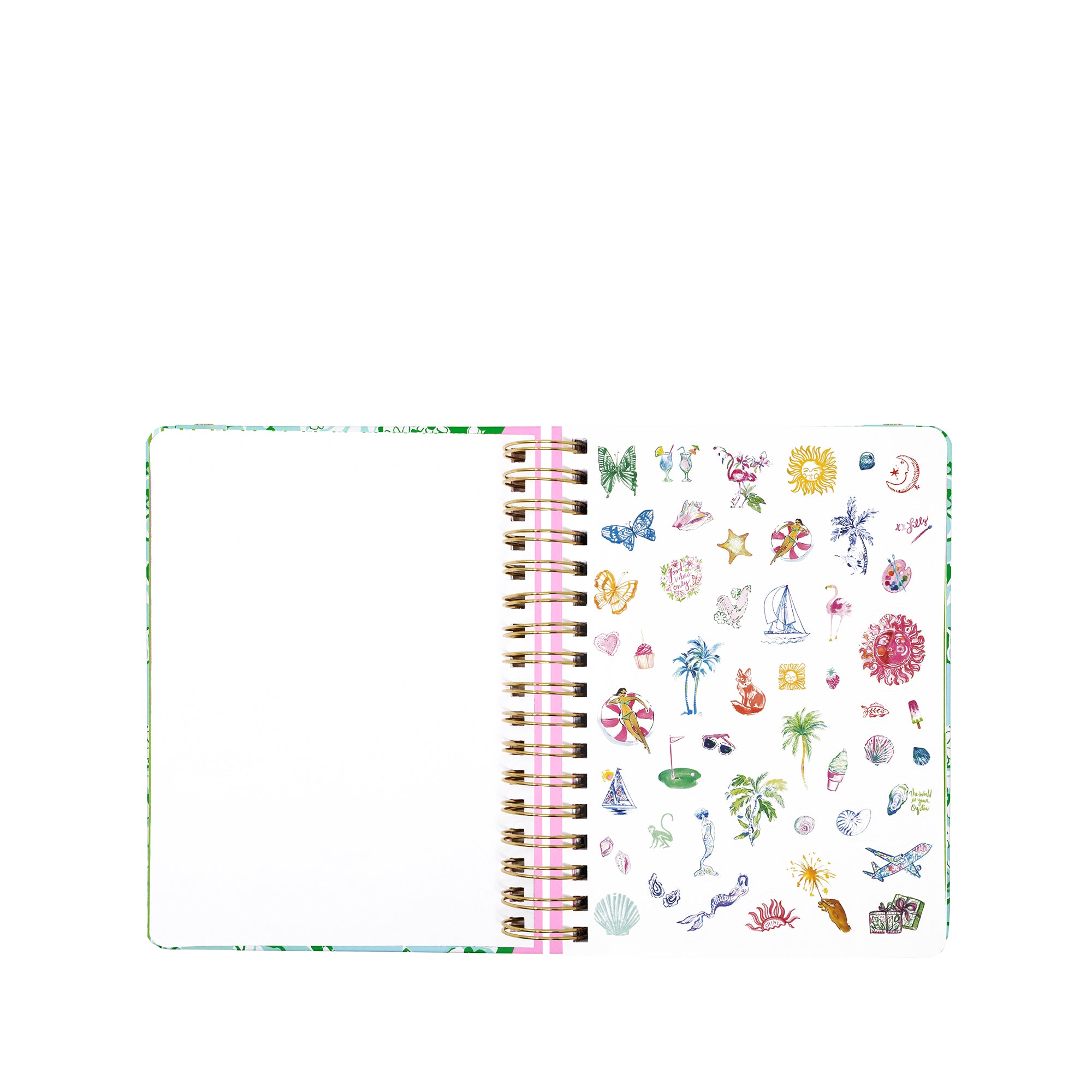 LARGE  17" MONTH AGENDA |  MINT CONDITION BURST OF JOY