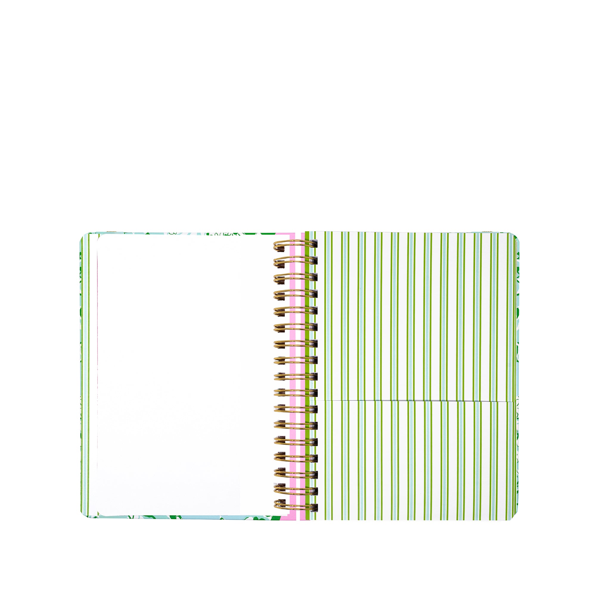 LARGE  17" MONTH AGENDA |  MINT CONDITION BURST OF JOY