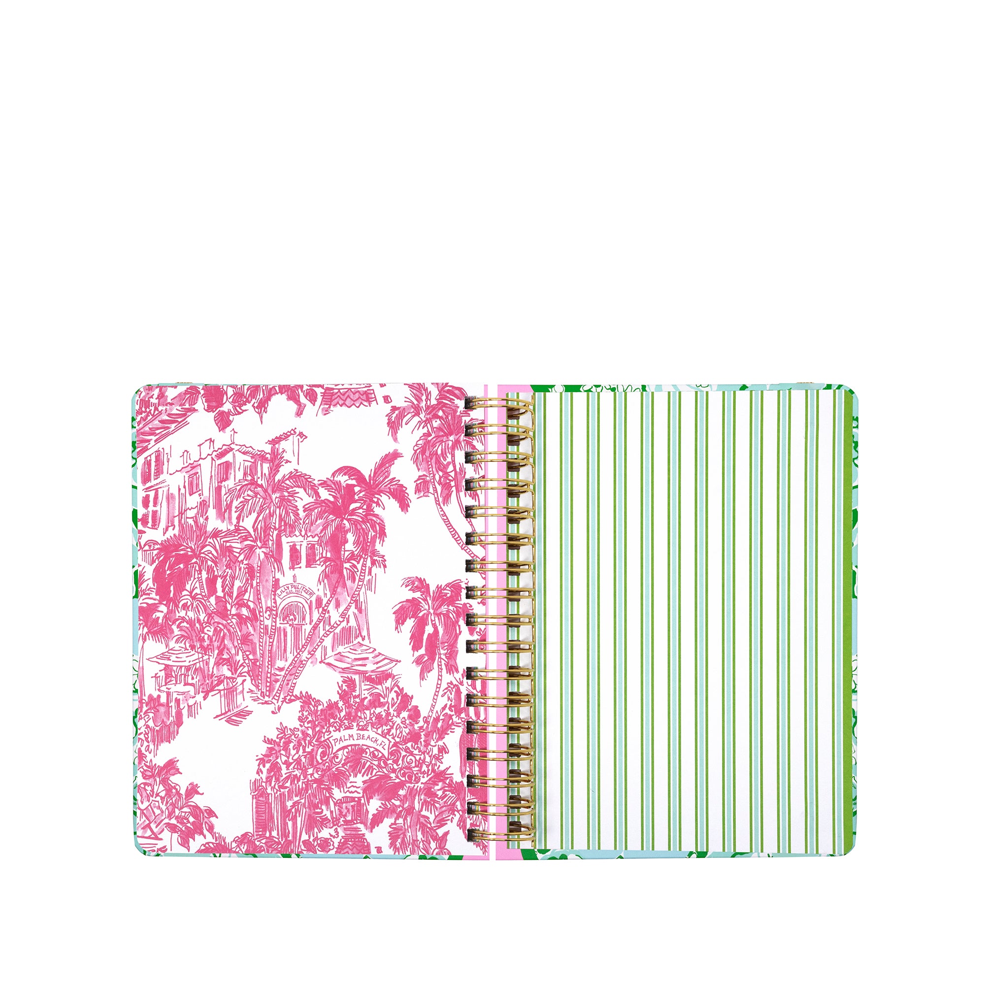 LARGE  17" MONTH AGENDA |  MINT CONDITION BURST OF JOY