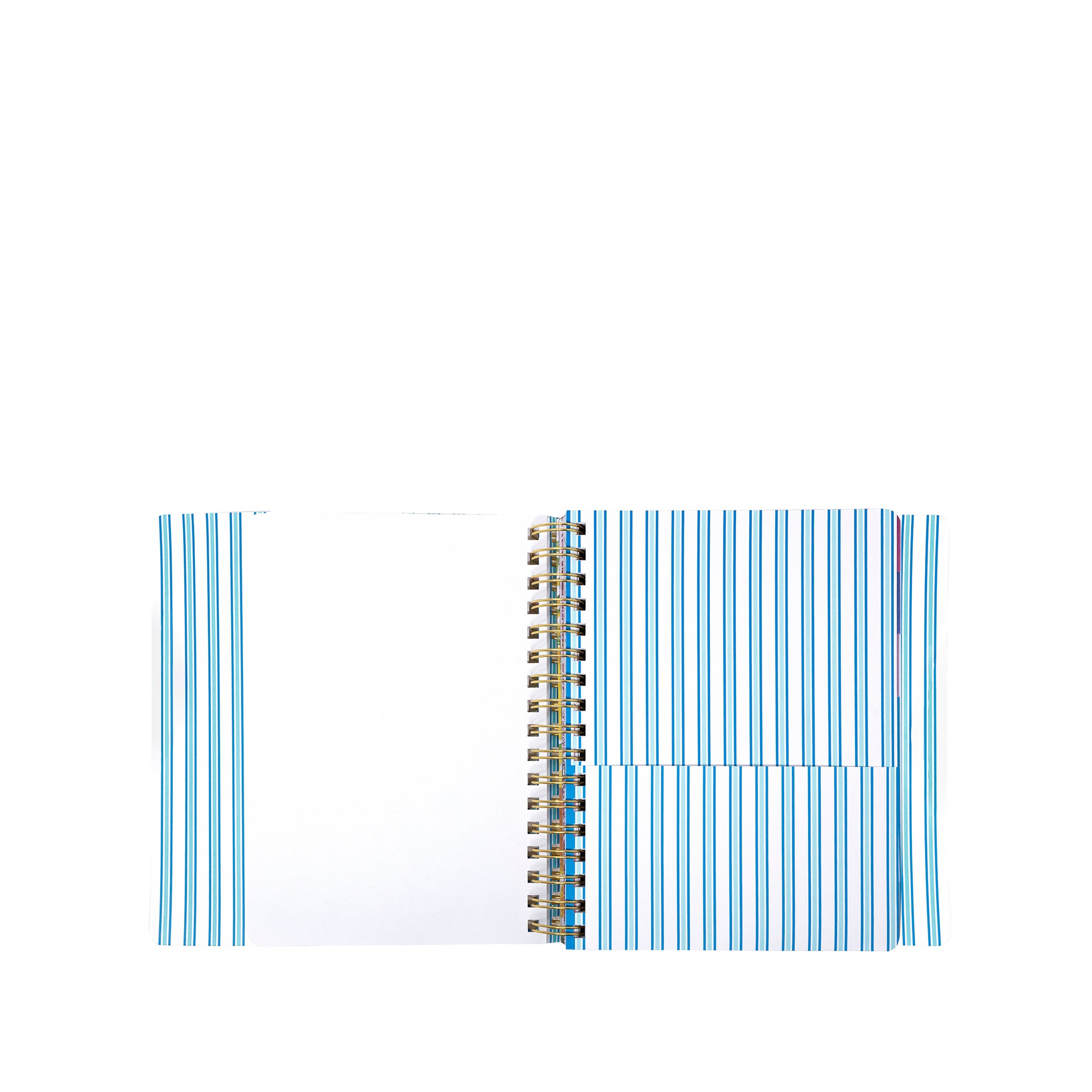17" MONTH SOFT COVER AGENDA | SHELL SHINE