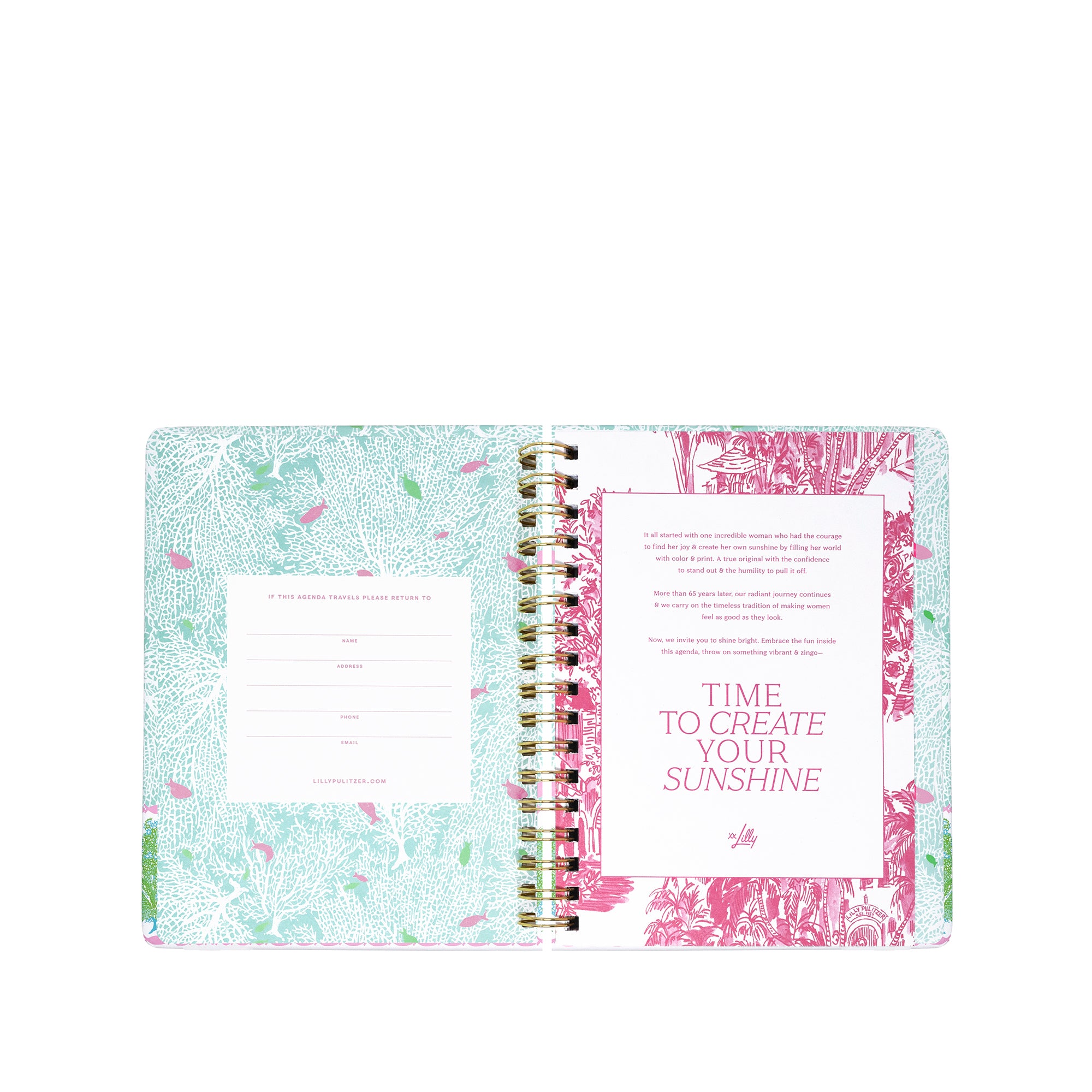 17" MONTH AGENDA | FANTASTICAL FOR HOME